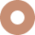 图标